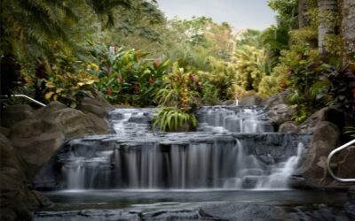 Costa Rica – Äventyrsresan 22/2-5/3 2024!
